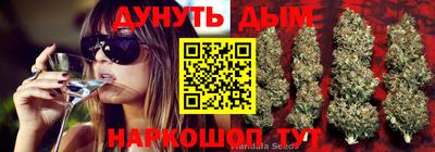 трава Кимры