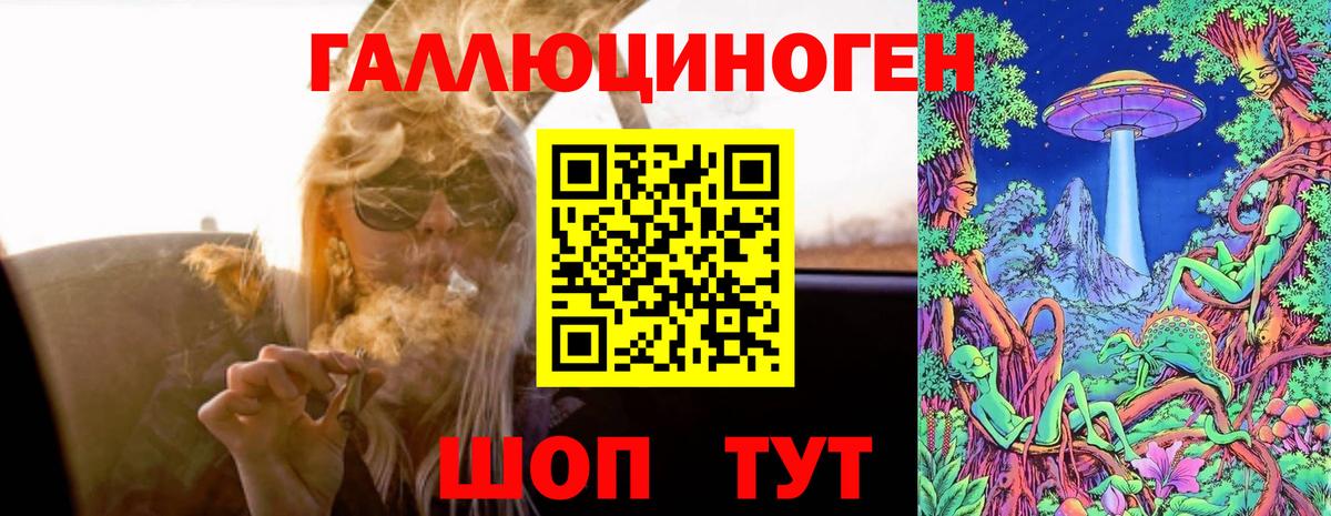 Вологда  наркошоп  Вход с VPN  Псилоцибиновые грибы MAGIC MUSHROOMS 