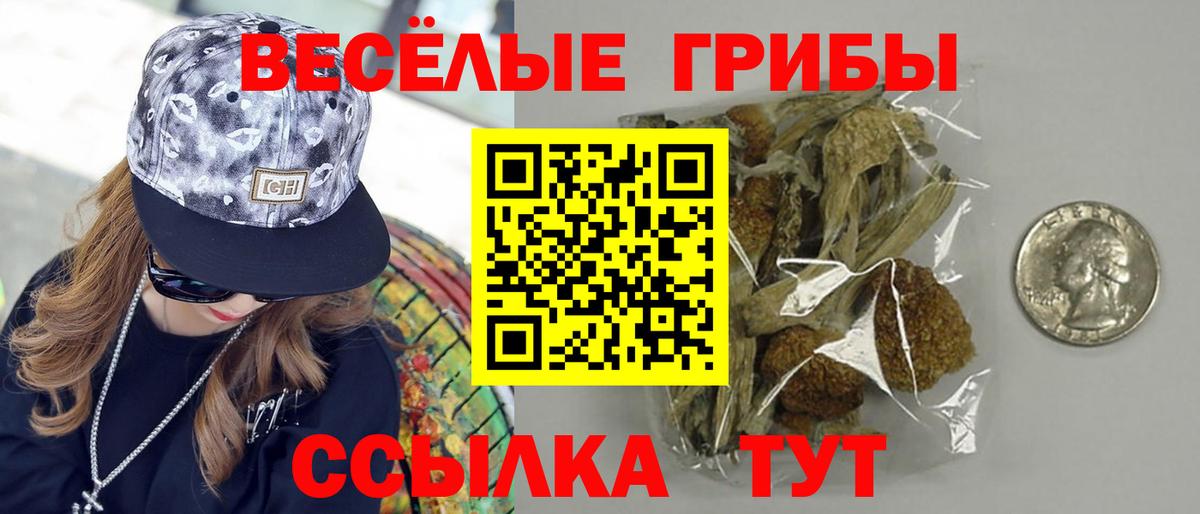 Псилоцибиновые грибы Magic Shrooms Вологда
