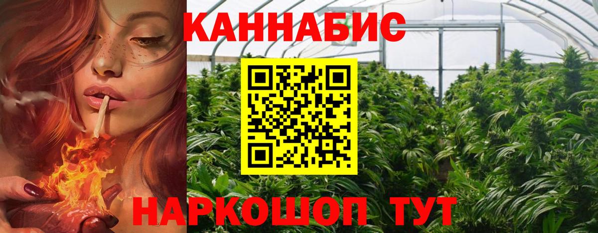 Канабис гибрид Вологда